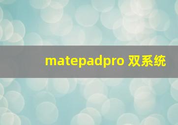 matepadpro 双系统